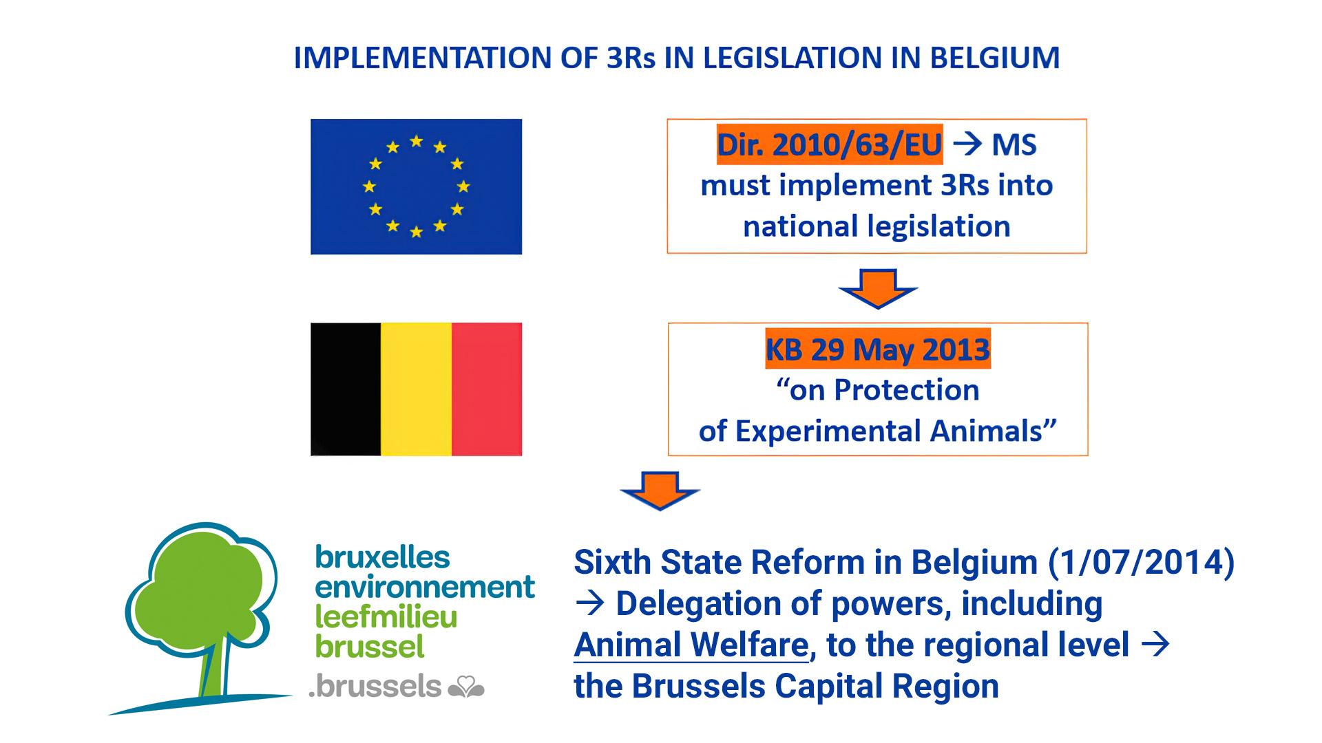 Implementation of 3Rs in Legislation in Belgium